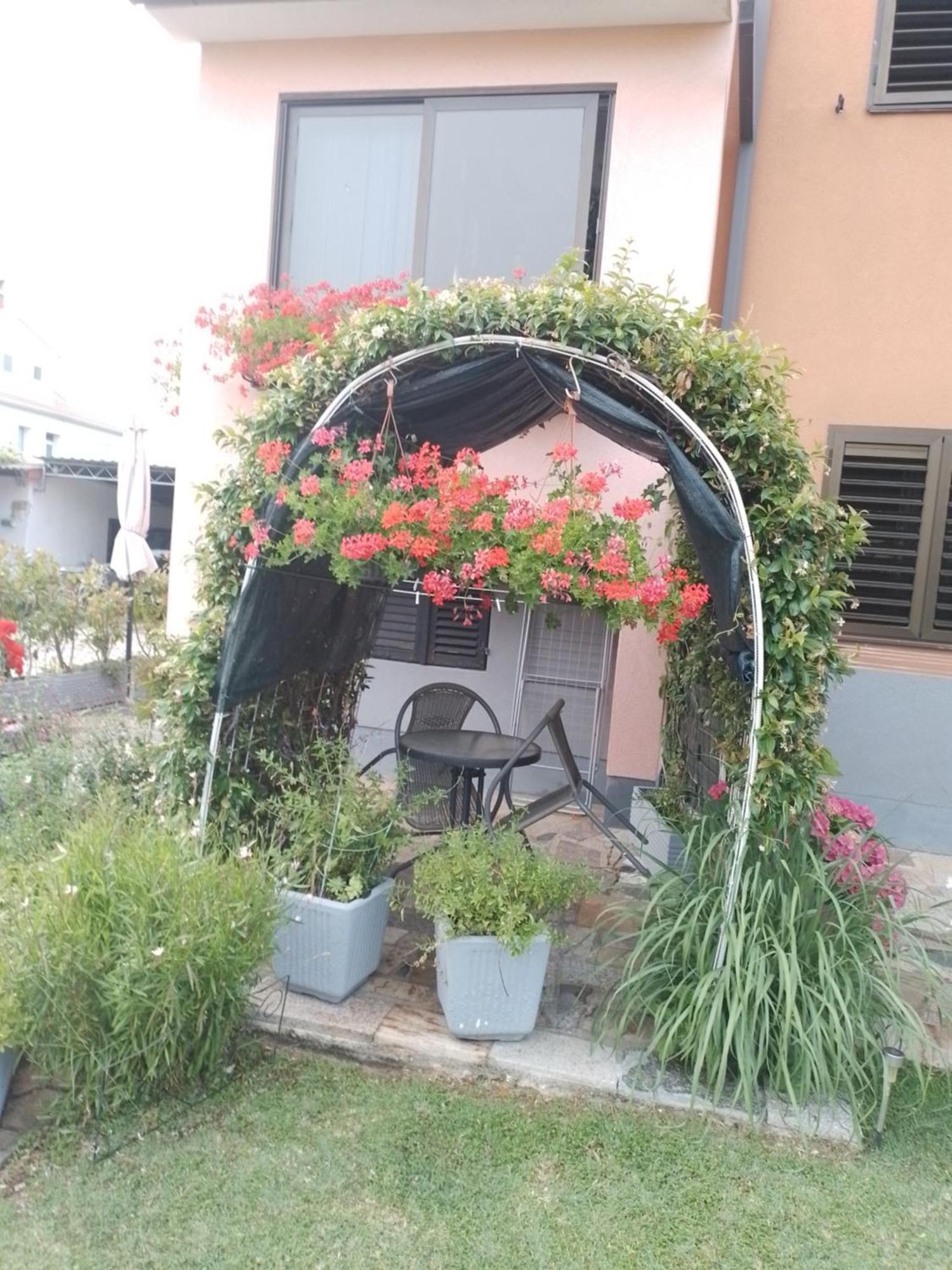 Apartman Olga Umag Bagian luar foto