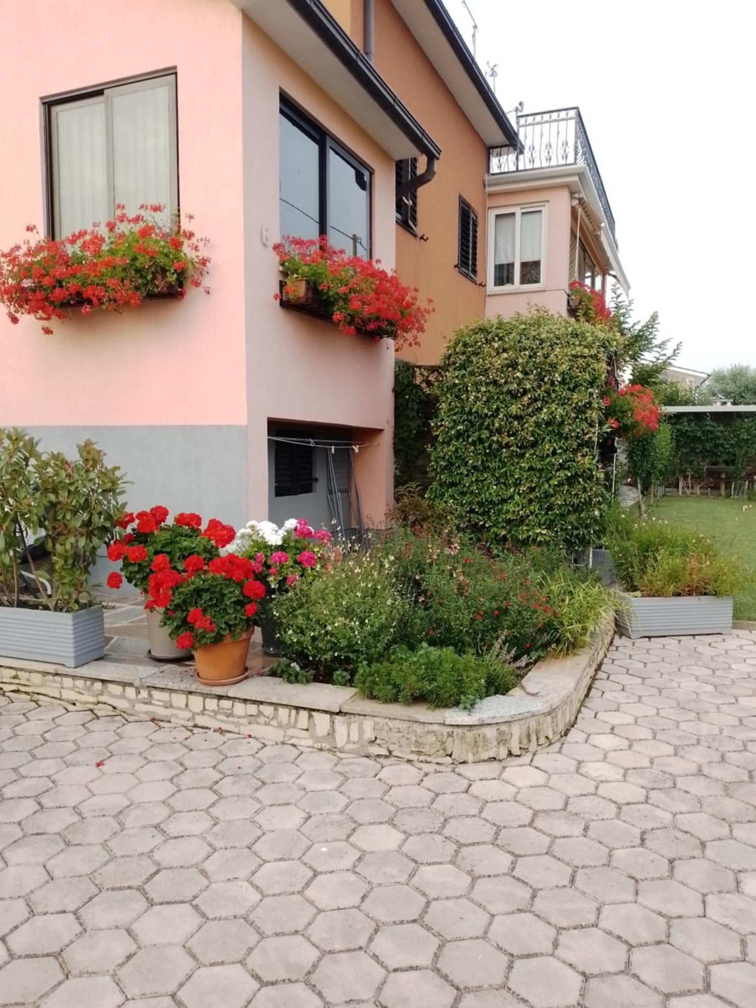 Apartman Olga Umag Bagian luar foto