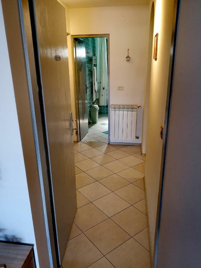 Apartman Olga Umag Bagian luar foto